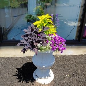 Meet your Posher, Cheryl